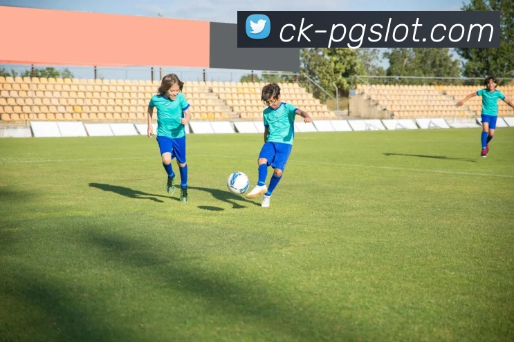 麻将胡了PG官网服务体系